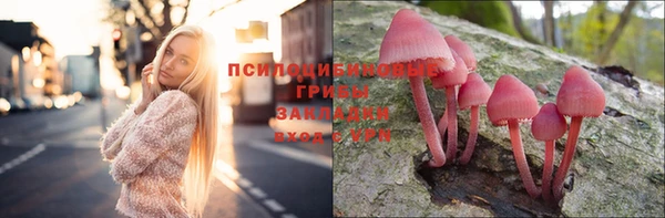 ПСИЛОЦИБИНОВЫЕ ГРИБЫ Алексеевка