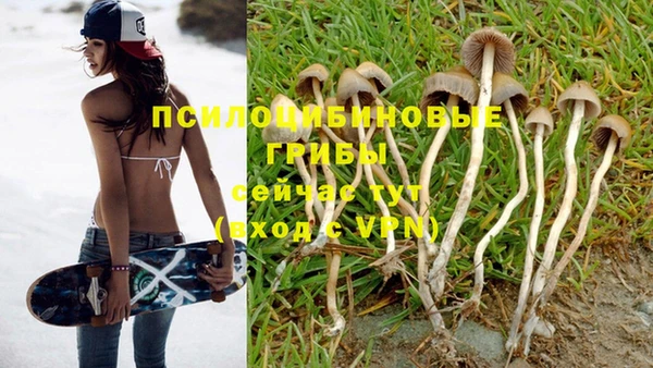 ПСИЛОЦИБИНОВЫЕ ГРИБЫ Алексеевка